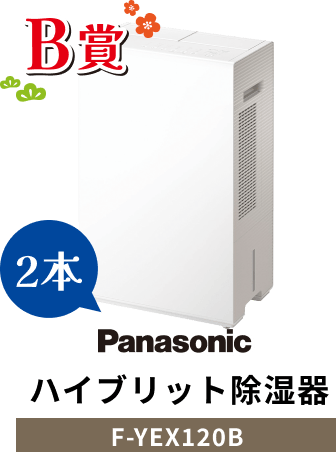B賞 Panasonic ハイブリッド除湿器 F-YEX120B 2本