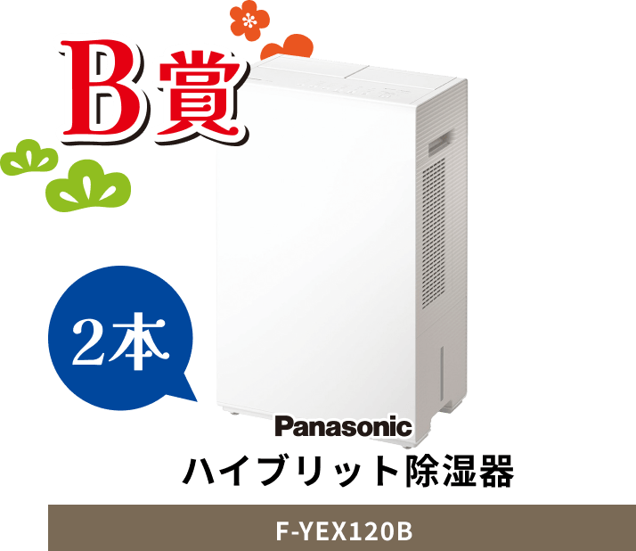 B賞 Panasonic ハイブリッド除湿器 F-YEX120B 2本