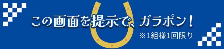 この画面を提示で、ガラポン！ ※1組様1回限り