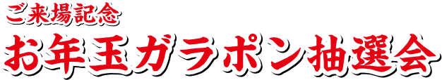 ご来場記念 お年玉ガラポン抽選会