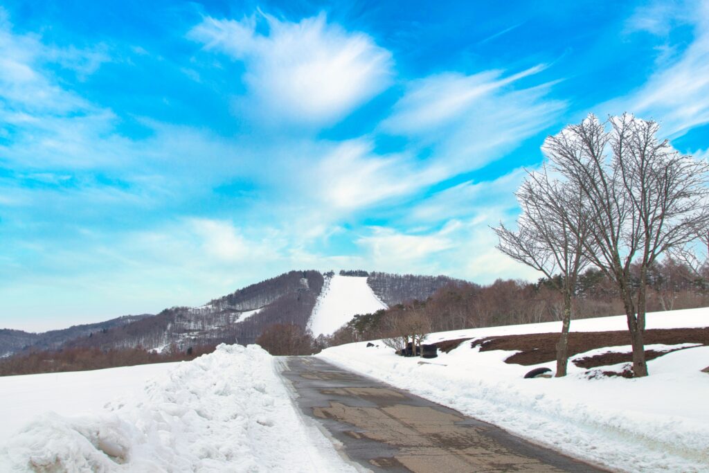 菅平の雪景色